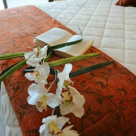 Vineland Pissouri